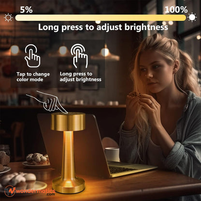 Portable LED lamp with adjustable brightness